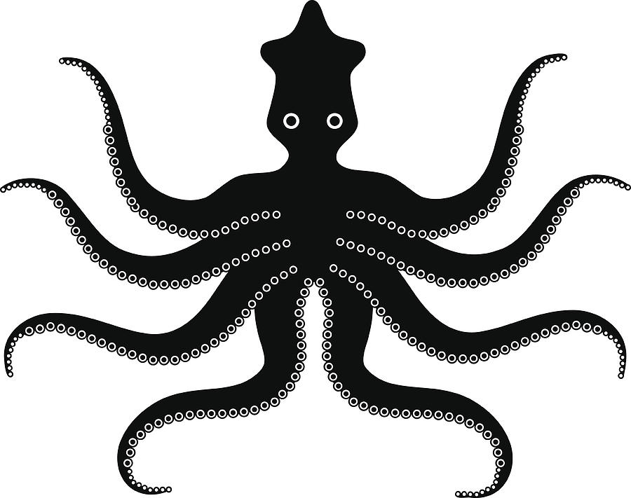 Octopus Drawing by Ninochka