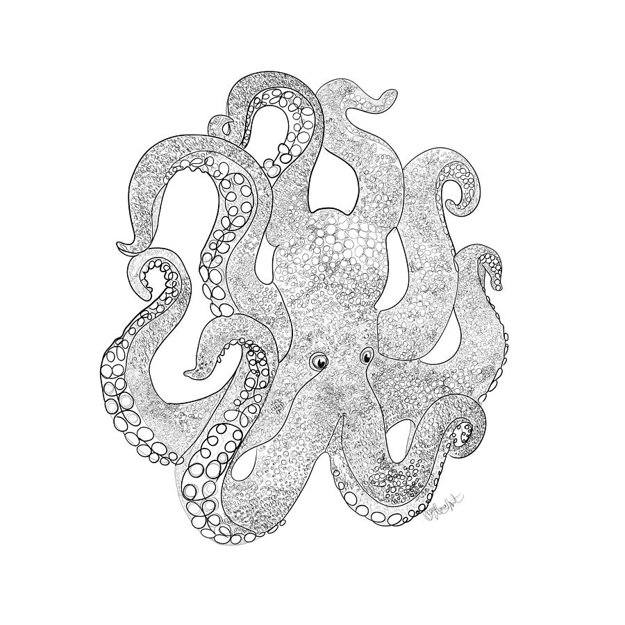 Octopus Of The Sea Line Drawing   Digital Art by Lena Owens - OLena Art Vibrant Palette Knife and Graphic Design
