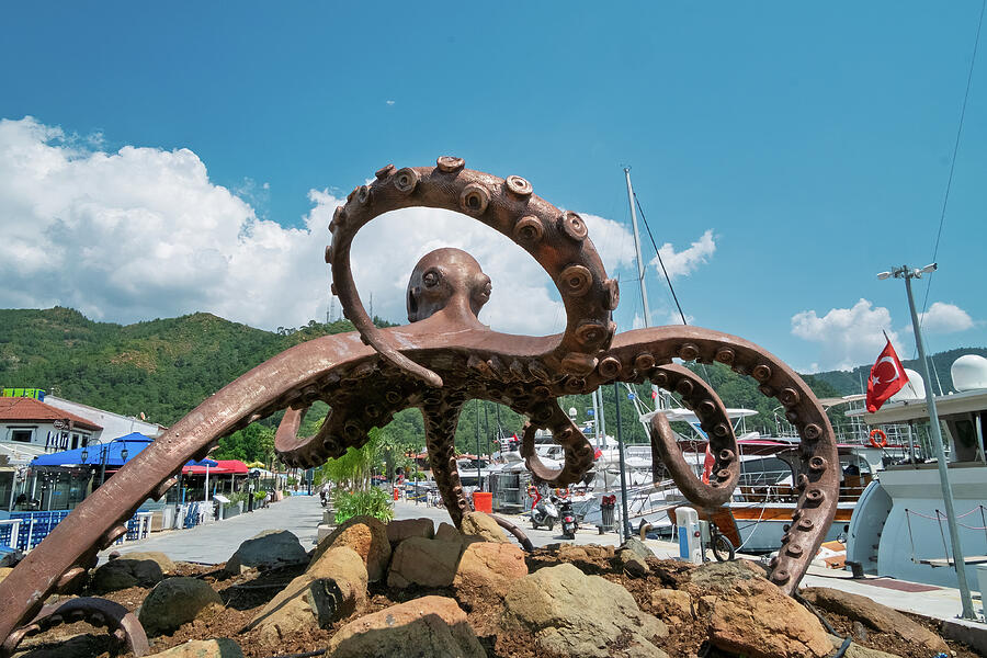 Octopus Sculpture at Marmaris Marina Photograph by Stuart Chard Octopus Sculpture at Marmaris Marina Photograph by Stuart Chard