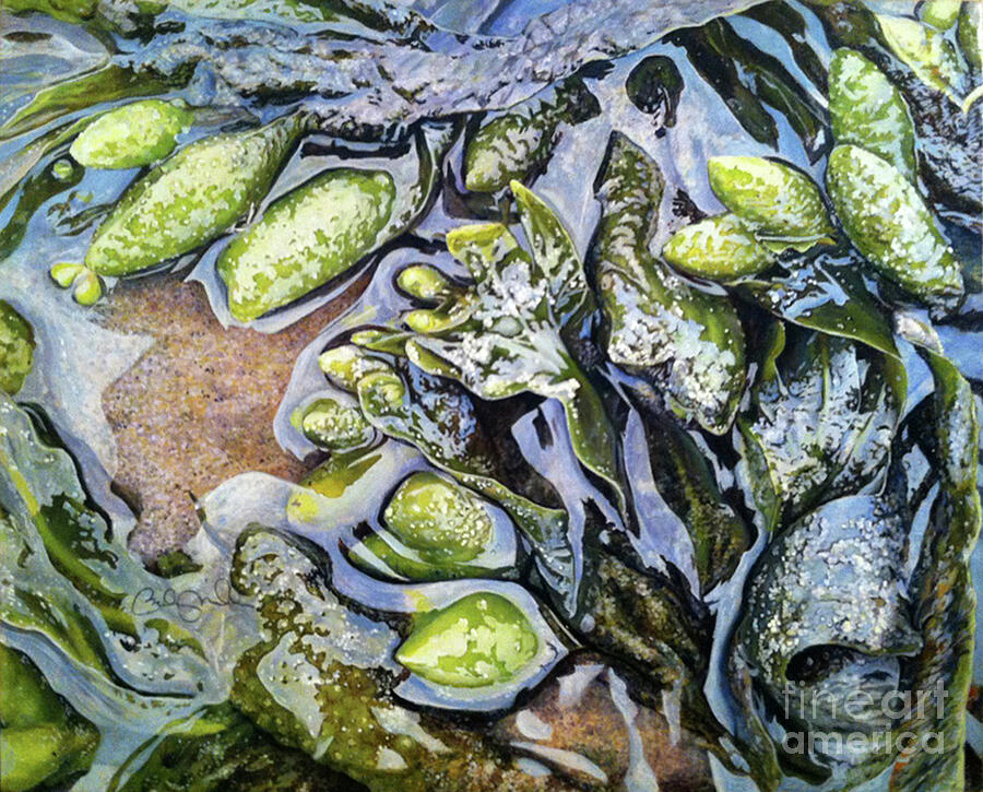 Kelp Painting - Octopuss Garden by Becky Miller Kelp Painting - Octopuss Garden by Becky Miller
