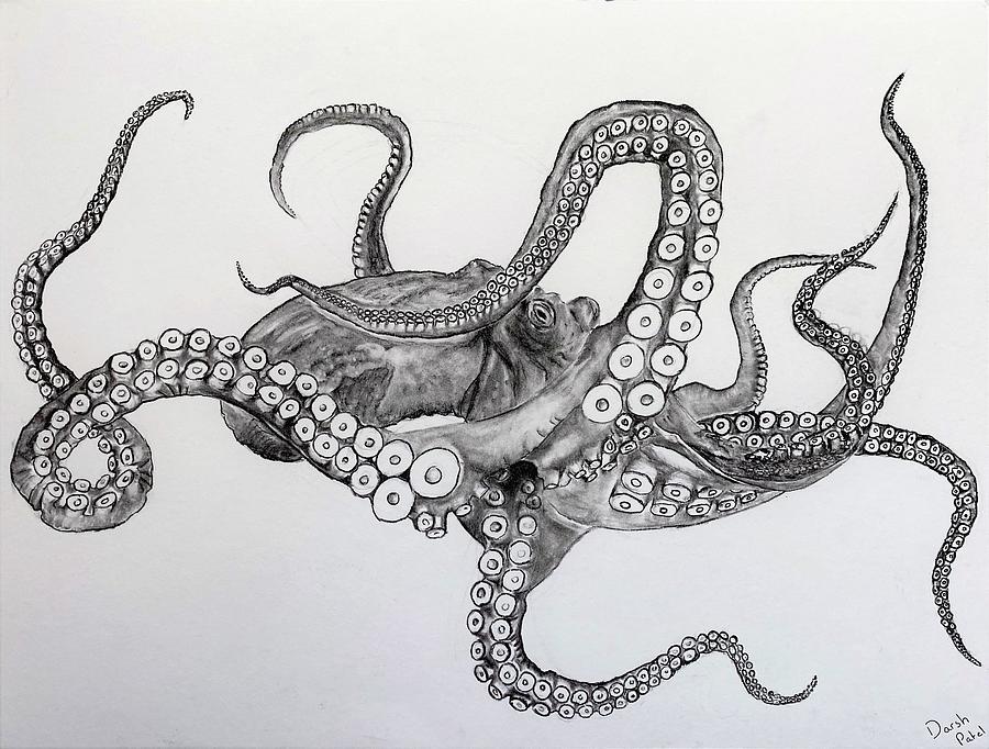 Octopus Drawing | bradchapmantattoos