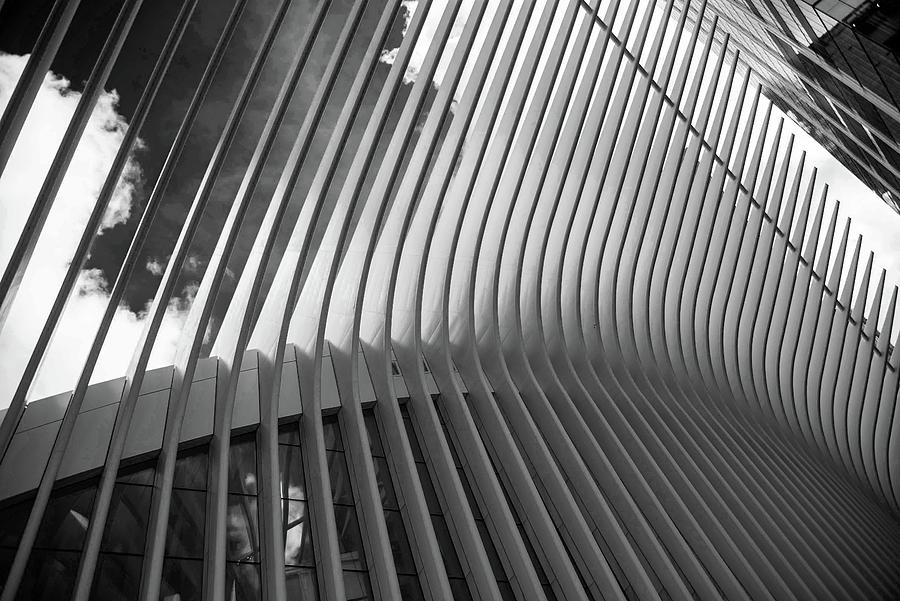 Oculus - 37 Photograph by David Bearden - Fine Art America