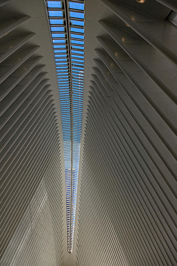 Oculus Center Vaulted Roof Photograph by Robert Ullmann