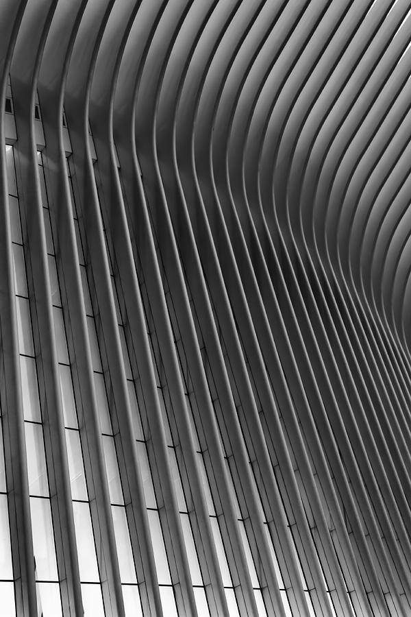 Oculus Exterior Photograph by Dane Maricic - Fine Art America