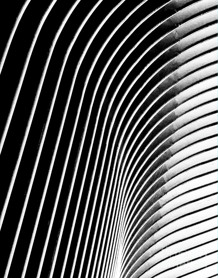 Oculus Wing Photograph by Frank Parisi - Fine Art America