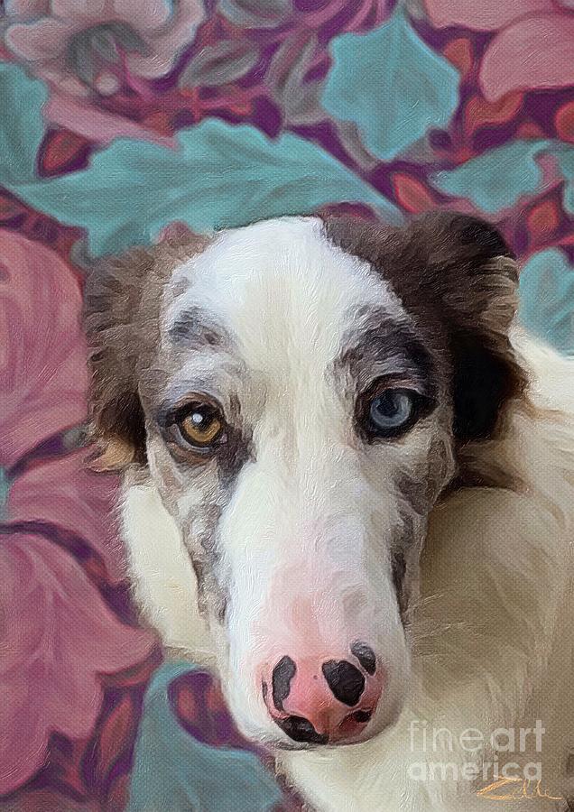 Odd Colored Eyed Dog Digital Art by Zelda Tessadori