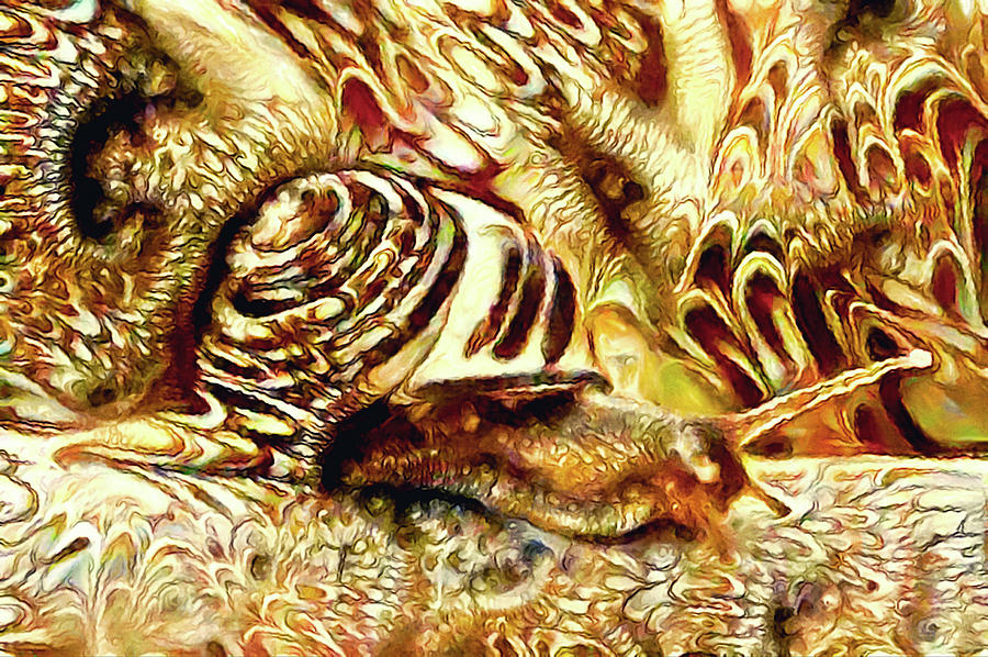 Ode to a Garden Snail Digital Art by Susan Maxwell Schmidt