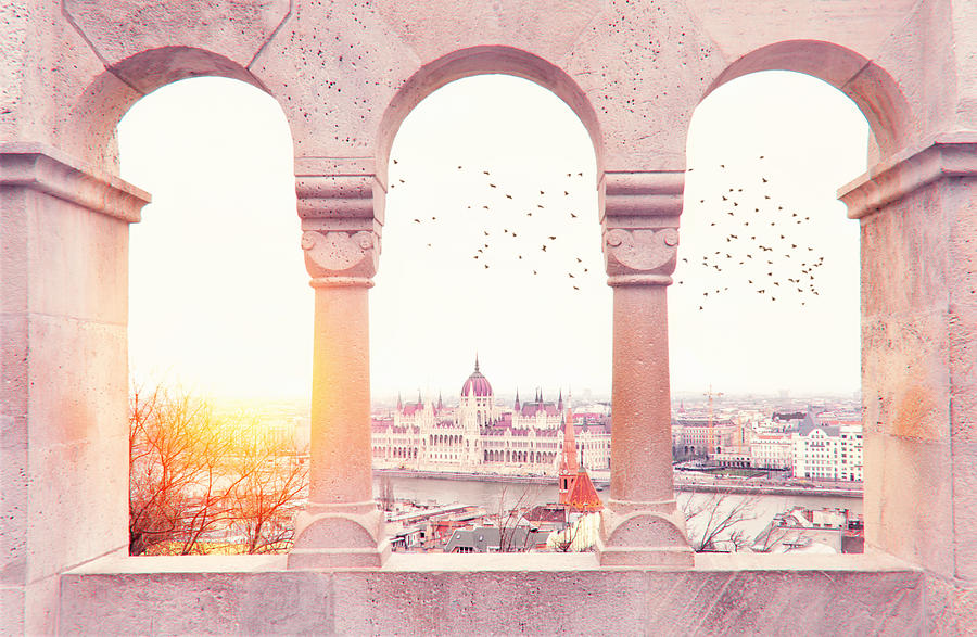 Ode To Budapest Photograph by Iryna Goodall