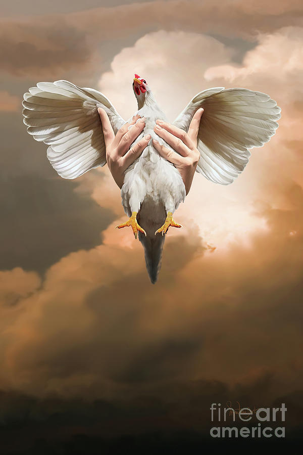 Chickens Digital Art - Ode To Chicken Love by Sigrid Van Dort Chickens Digital Art - Ode To Chicken Love by Sigrid Van Dort