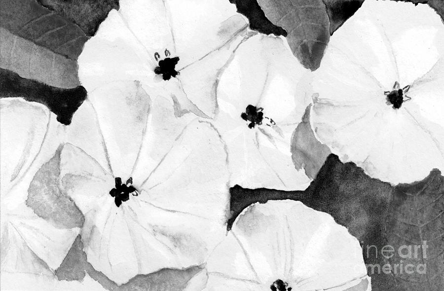 Ode to Georgia 1 wild morning glories in Black and White Digital Art by Conni Schaftenaar