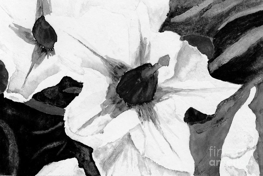 Ode To Georgia 2 in Black and White Potato Blossoms Digital Art by Conni Schaftenaar