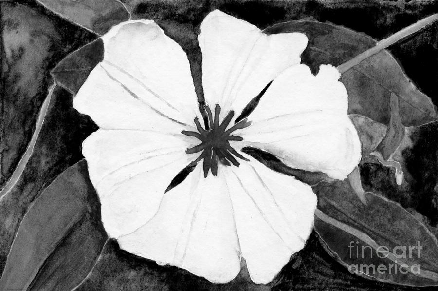Ode to Georgia 3 Clematis in Black and White Digital Art by Conni Schaftenaar