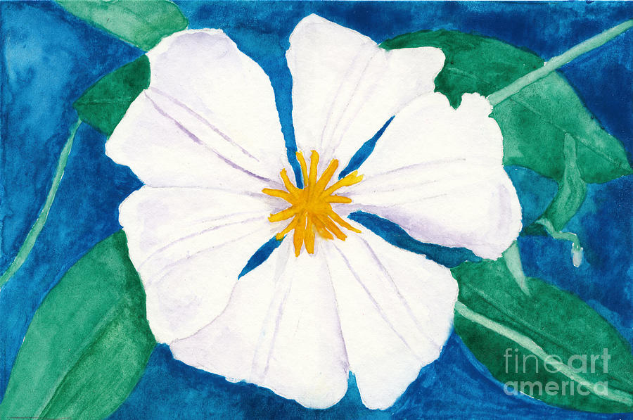 Ode to Georgia 3 White Clematis Flower Painting by Conni Schaftenaar