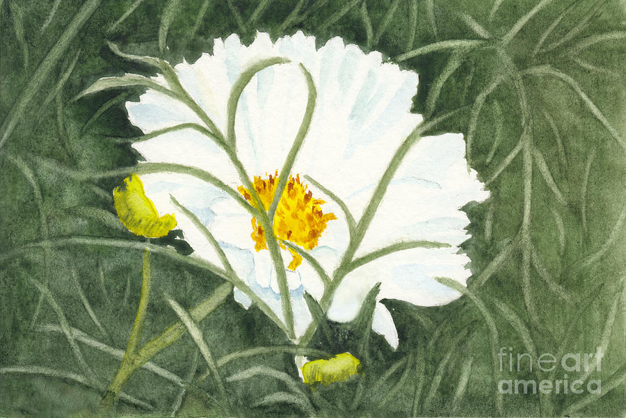 Ode To Georgia 5 - Cosmos Flower Painting by Conni Schaftenaar