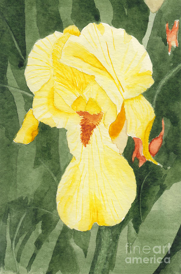 Ode to Georgia 5 - Yellow Iris Painting by Conni Schaftenaar
