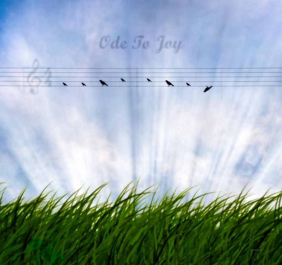 Ode To Joy Digital Art by Brian Wallace