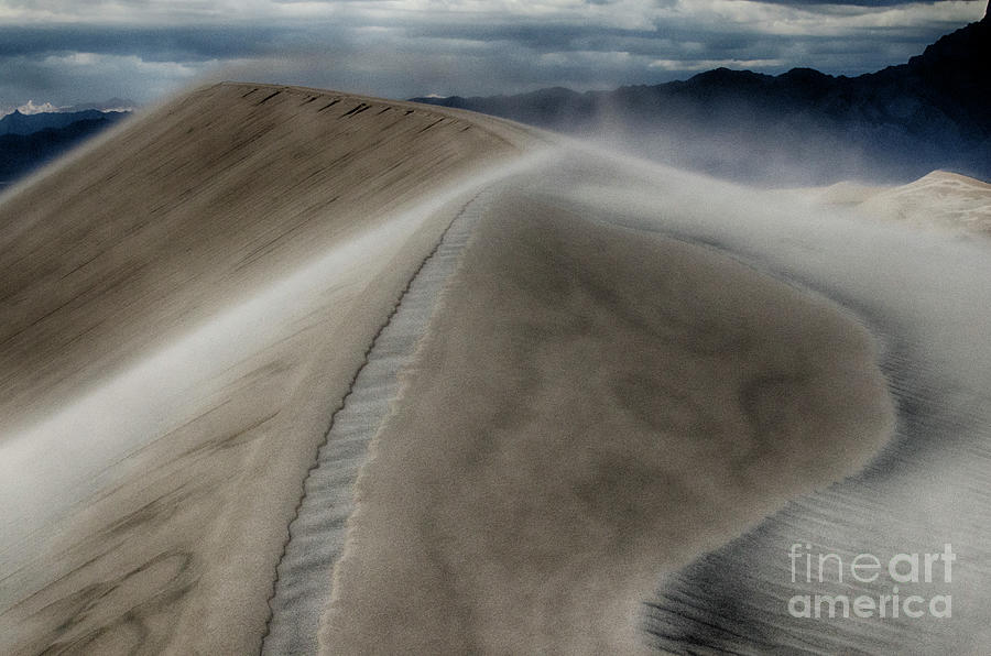 Ode To The  Wind And Sand Photograph by Bob Christopher