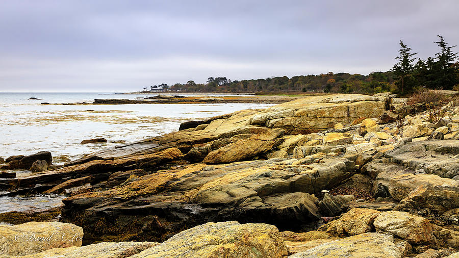 Odiorne Point State Park Photograph by David Lee