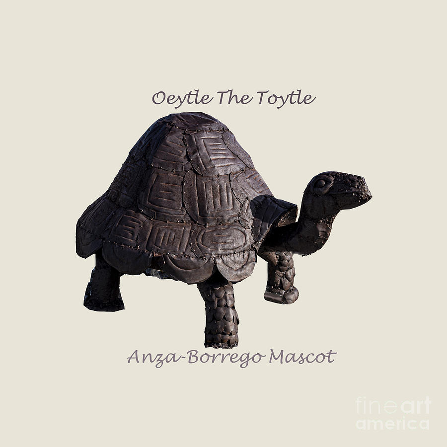Oeytle De Toytle II Photograph by Daniel Hebard
