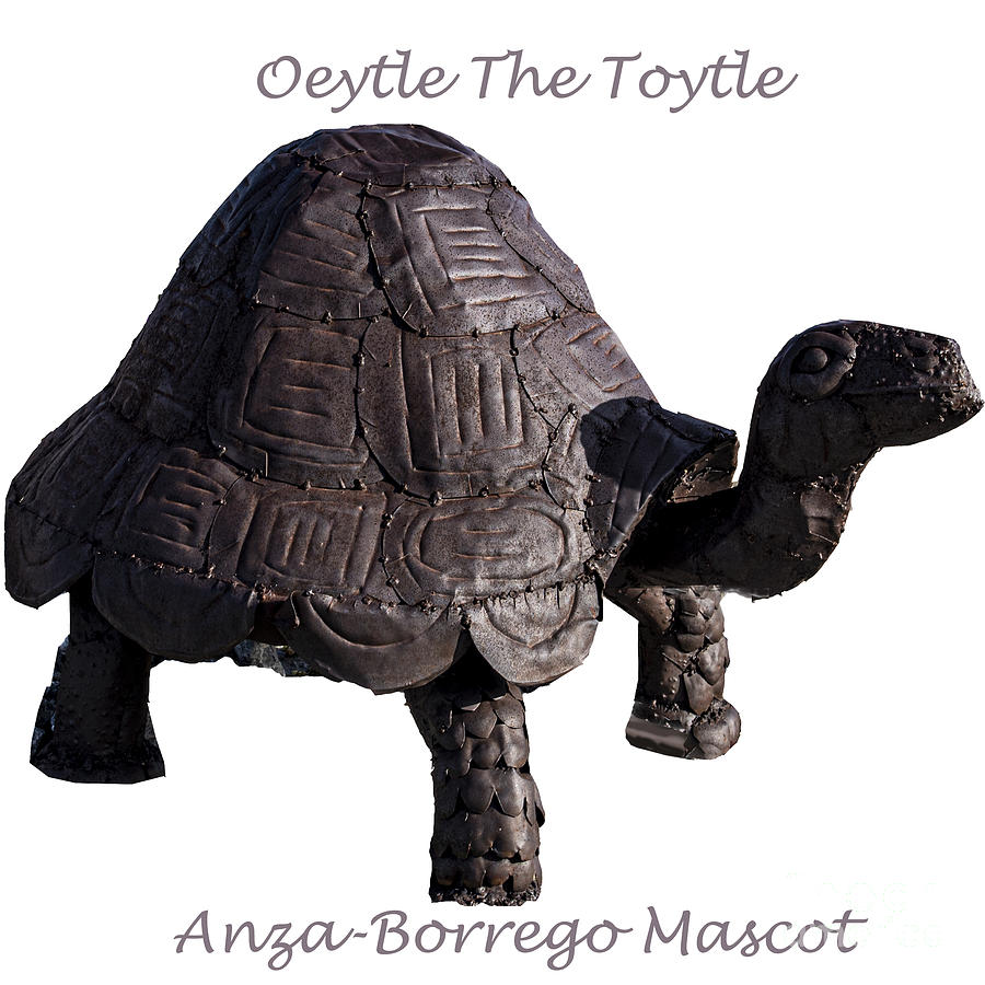 Oeytle The Toytle  Photograph by Daniel Hebard