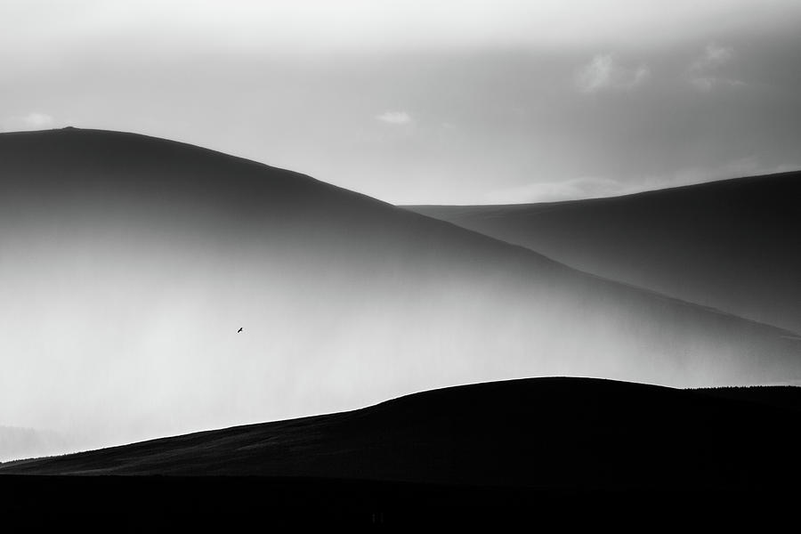 Of hills, rain and a solitary bird Photograph by Anita Nicholson