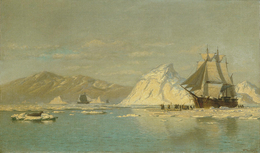 Ships Painting - Off Greenland Whaler Seeking Open Water by William Bradford