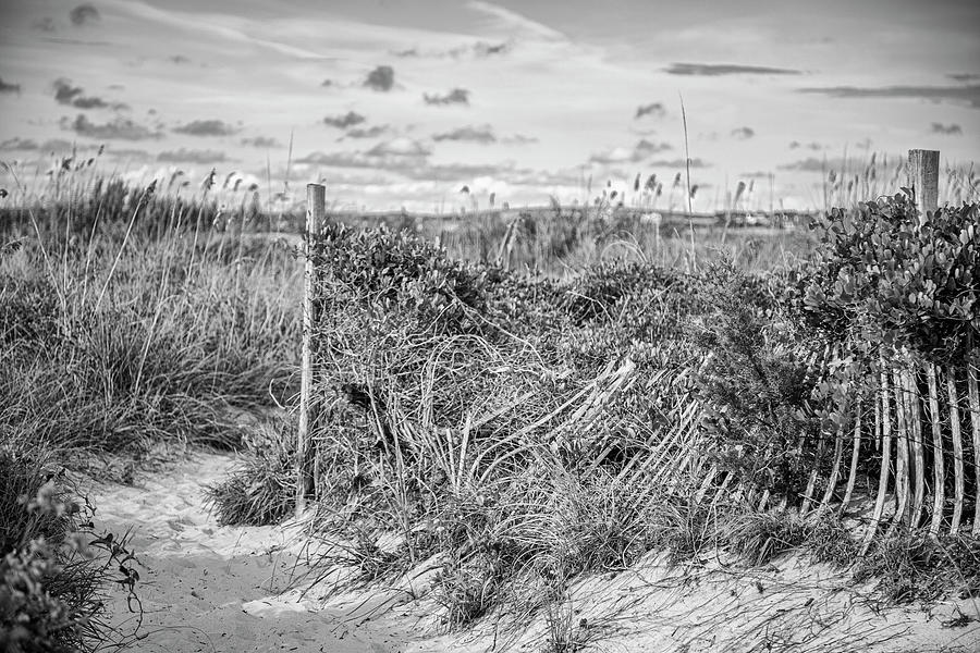 Off the Beaten Path - Atlantic Beach NC Photograph by Bob Decker