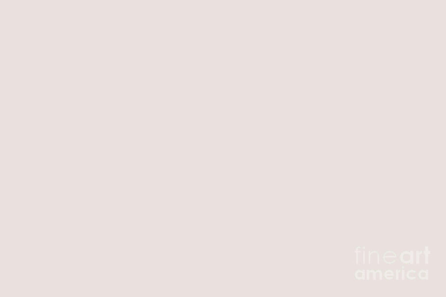 Pale Pink Solid Color 2021-2022 Autumn Winter Hue Pantone Coconut Cream 11-1007 Digital Art by Simply Solids