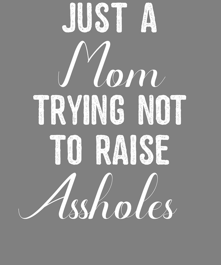 Offensive Just A Mom Trying Not To Raise Assholes Funny Mom T Digital Art By Stacy Mccafferty 