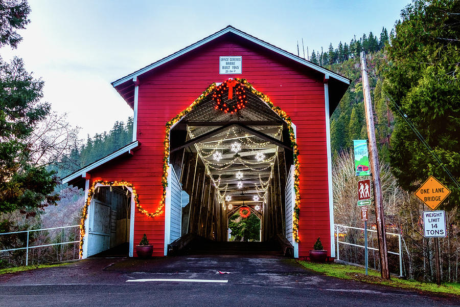 Office Bridge at Christmas Photograph by Catherine Avilez