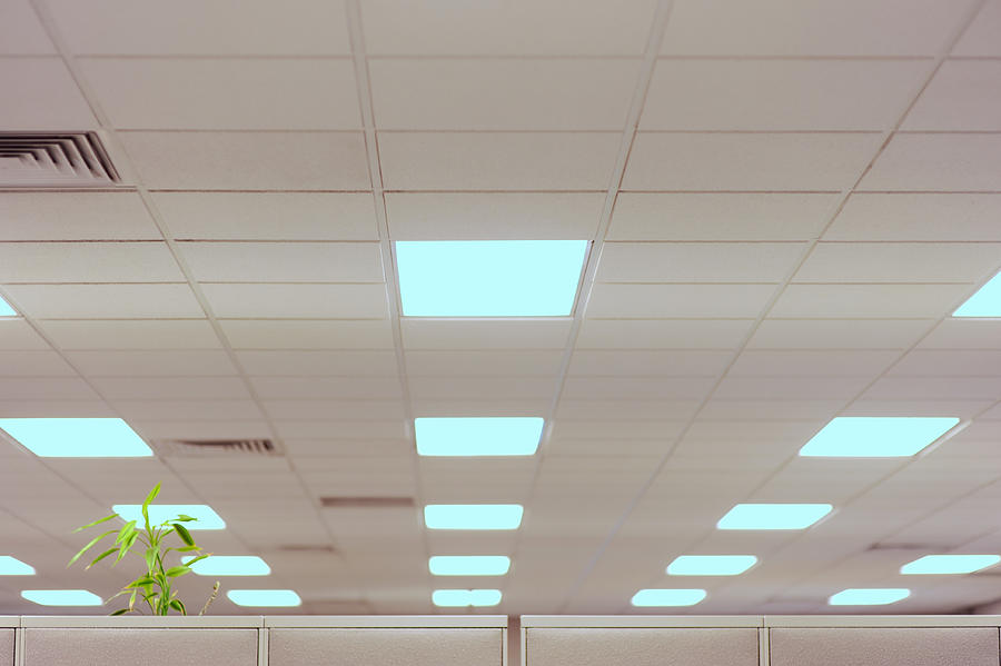 Office Fluorescent Lights Photograph by Melissa Squires