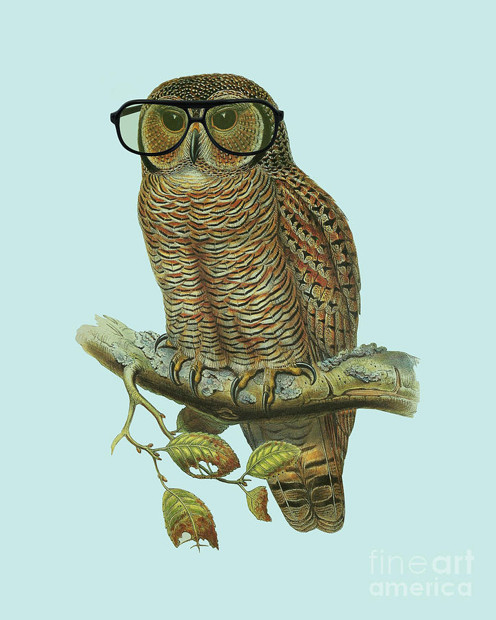 Owl Digital Art - Office Owl by Madame Memento