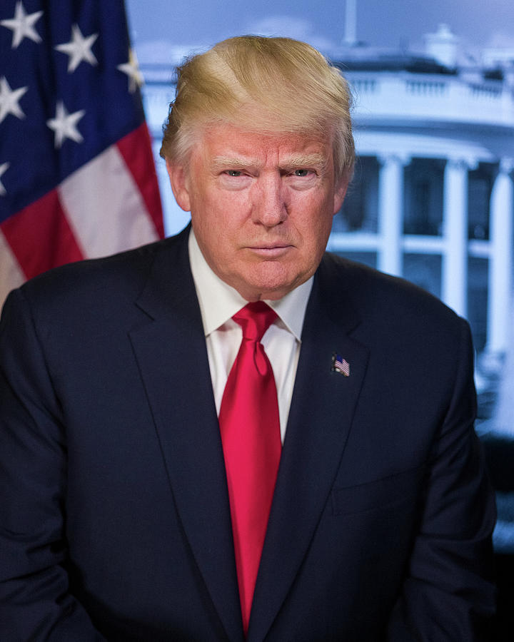 Official portrait of Donald Trump Painting by Official White House