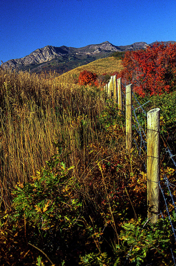 Ogden Canyon Photograph by Gene Myers - Fine Art America