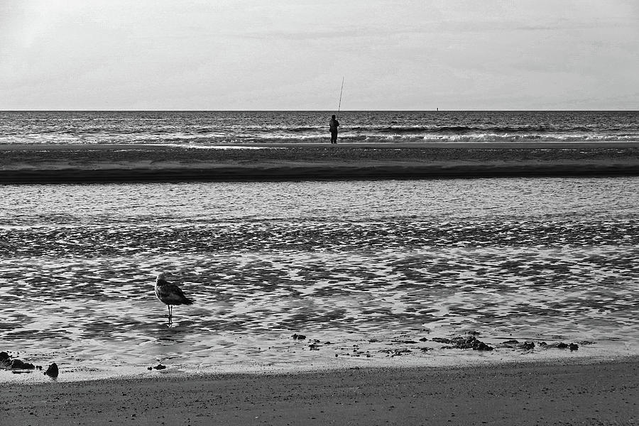 Ogunquit Beach Seagull and FIsherman at Sunrise Ogunquit Maine Black and White Photograph by Toby McGuire