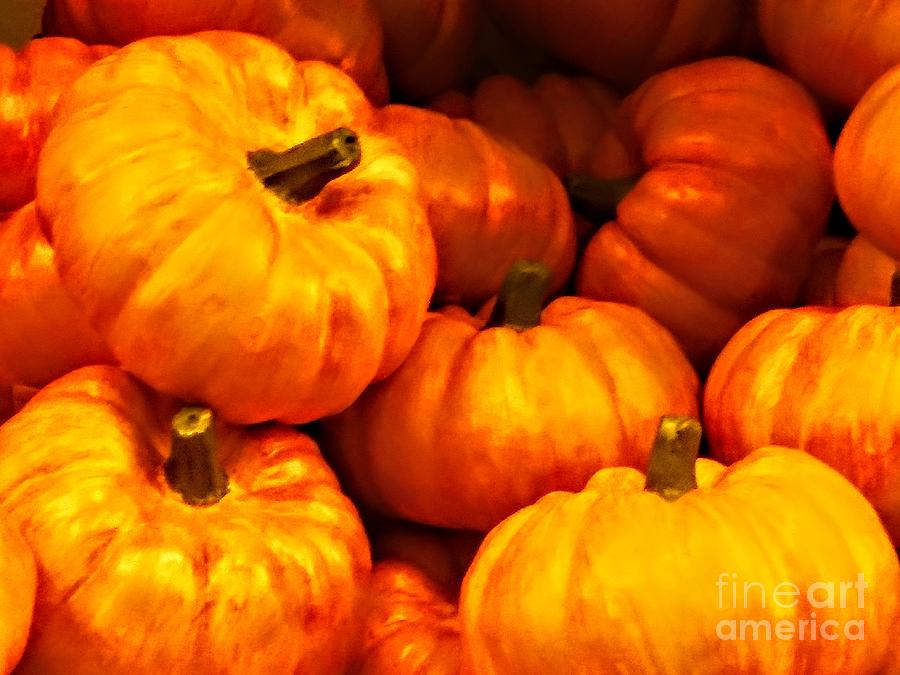 Pumpkin Time Photograph by Chrisann Ellis