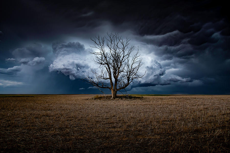 Oh The Wonderous Dreams I've Dreamt by Brian Gustafson Oh The Wonderous Dreams I've Dreamt by Brian Gustafson