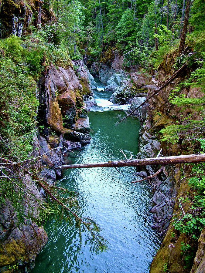 Ohanapecosh River, Silver Falls Loop Trail, Mt. Rainier National Park ...