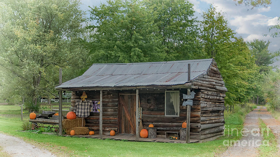 Ohio Autumn Log Home Photograph by Janice Pariza