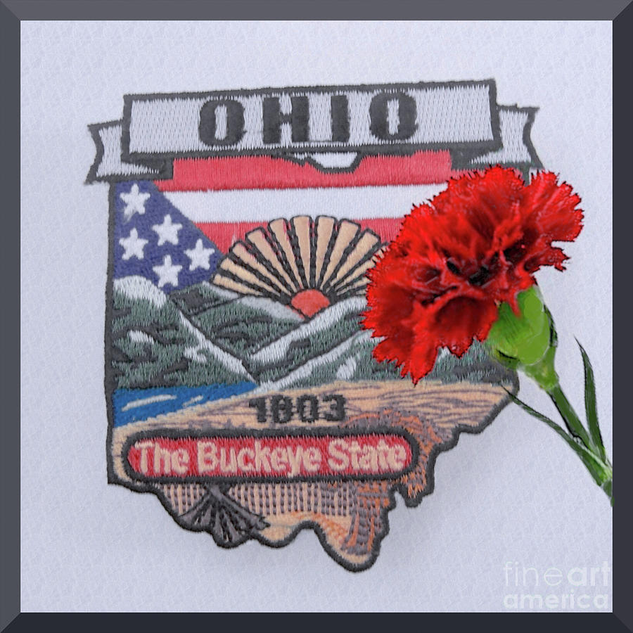 Ohio Badge with Carnation Photograph by Charles Robinson