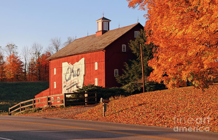 Ohio Bicentennial Barn 2581 Photograph by Jack Schultz