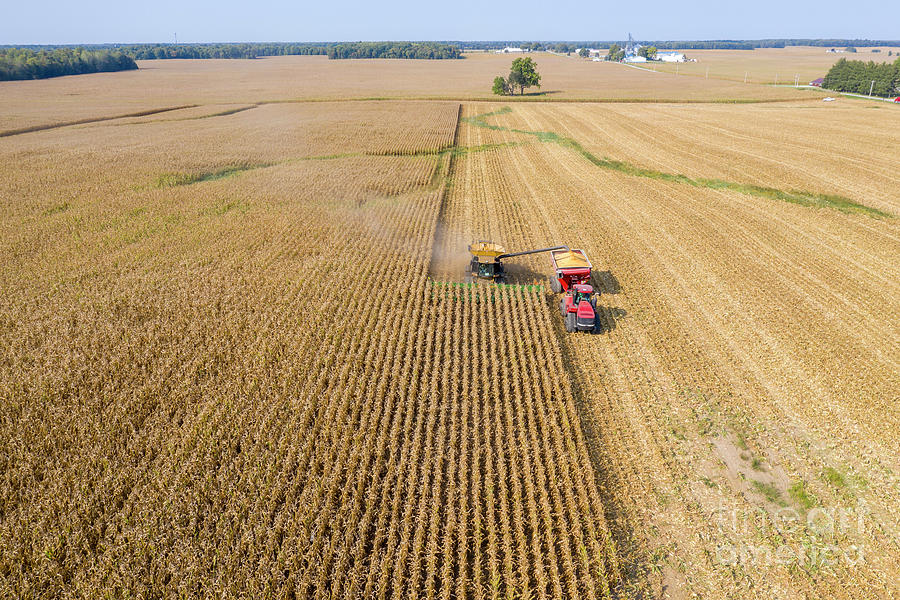 Ohio Corn Harvest Photograph by Jim West