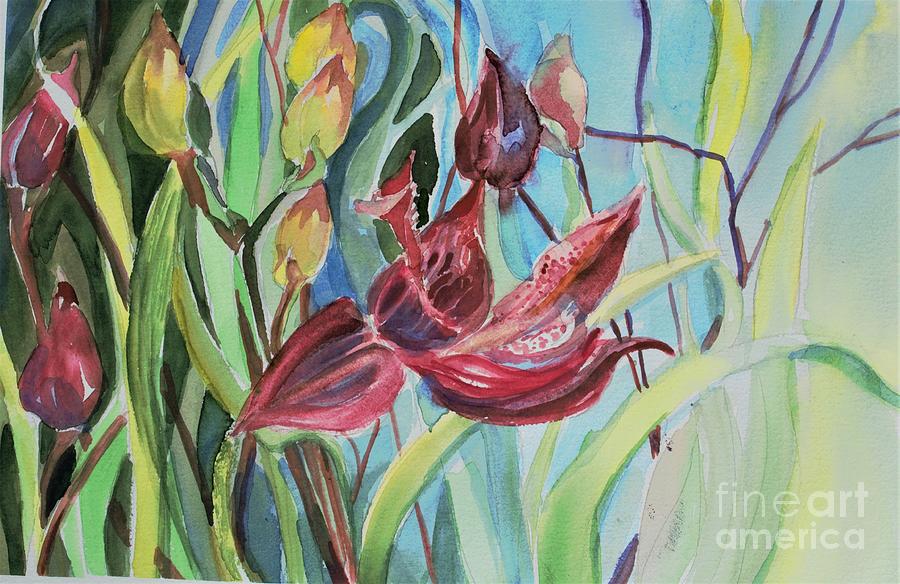 Ohio Dragon Mouth Orchid Painting by Mindy Newman
