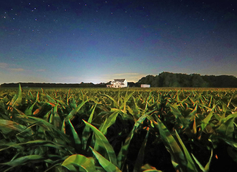 Ohio Farm Night Sky Mixed Media by Dan Sproul