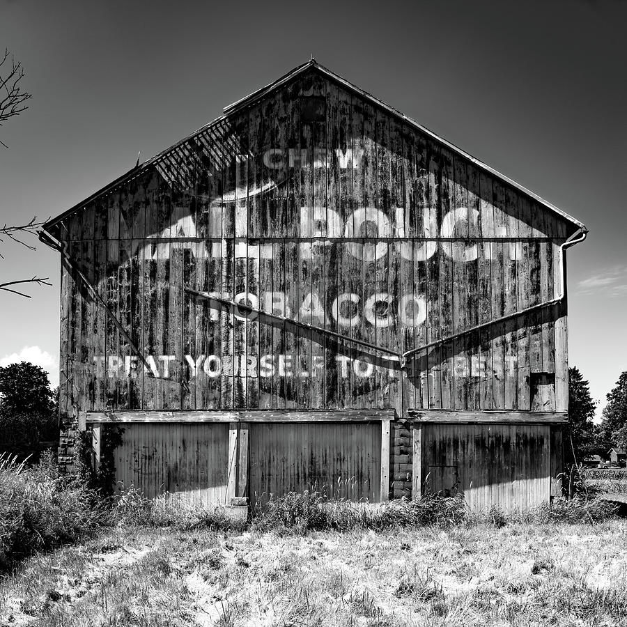 Black And White Photograph - Ohio Mail Pouch Tobacco Barn - Black and White by Gregory Ballos