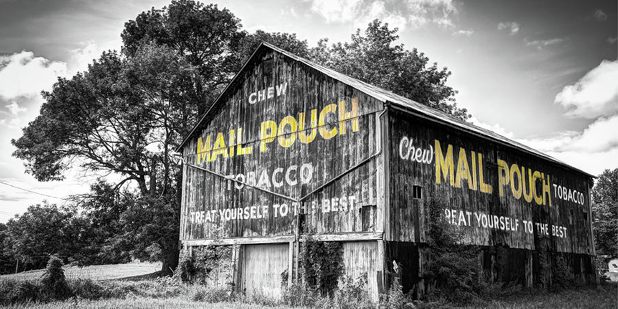 Ohio Mail Pouch Tobacco Barn In Selective Color Panorama Photograph by Gregory Ballos
