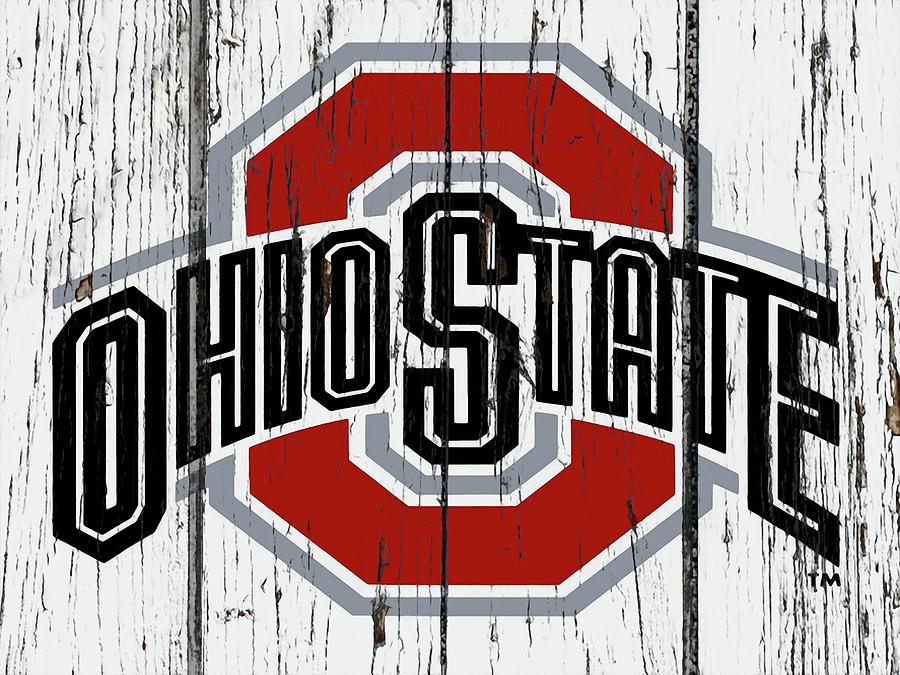 Ohio State 5j Mixed Media by Brian Reaves
