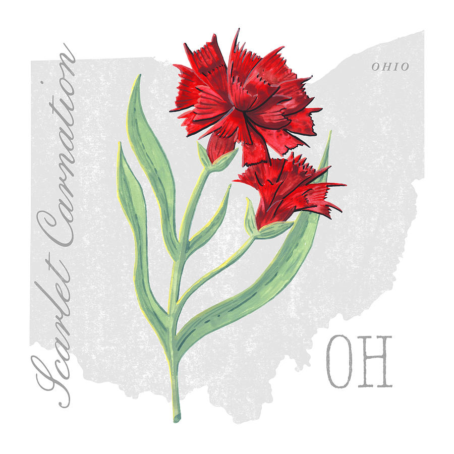 Ohio State Flower Scarlet Carnation Art by Jen Montgomery Painting by