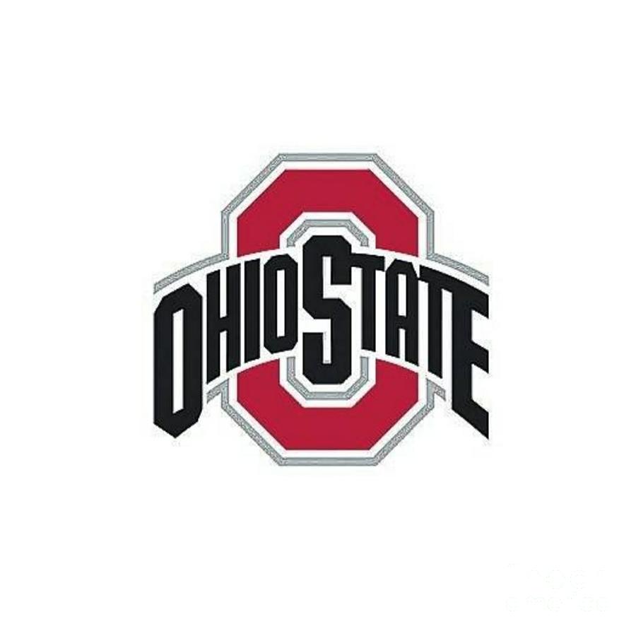 Ohio State Photograph by Robert ONeil