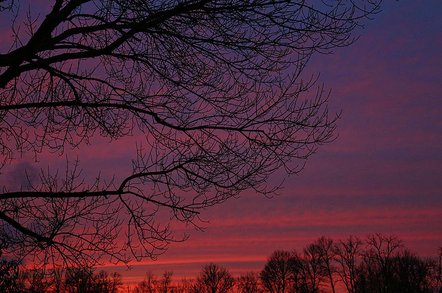 Ohio Winter Sky Photograph